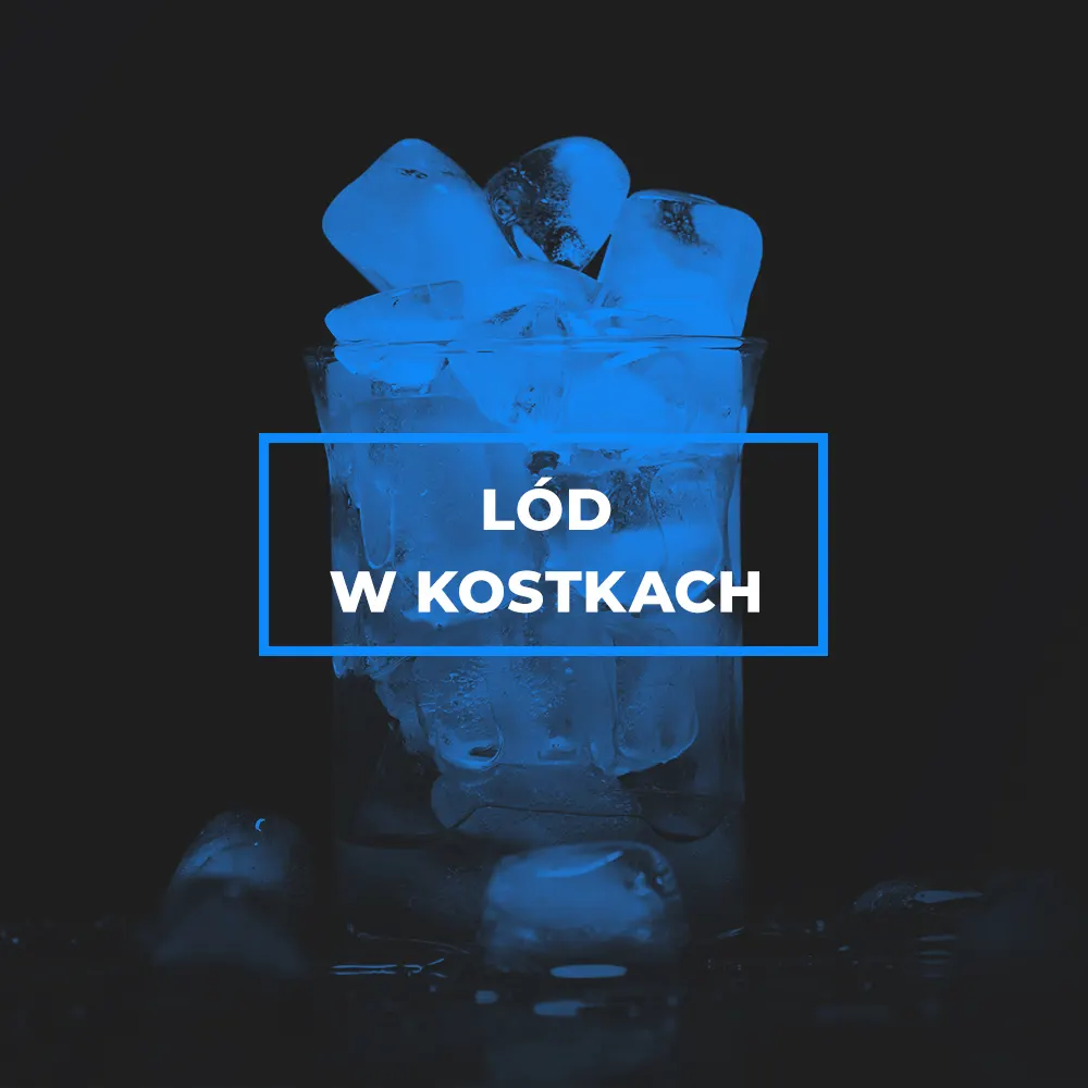 kat_webp_lod_w_kostkach_small